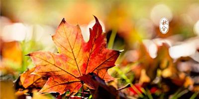 生活小常識：秋分養生吃什麼 秋分時節怎樣養生保健