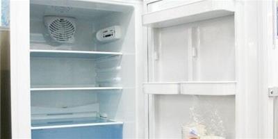 簡潔設計受歡迎 博世兩門冰箱受歡迎