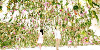 teamlab 工作室打造的互動式懸浮花海