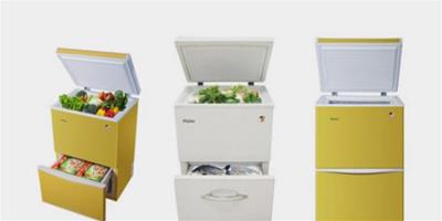 如何選購家用小冰櫃？家用小冰櫃尺寸有哪些？