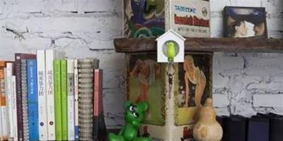 家居DIY：中秋額月餅盒別扔 看它們如何神奇變身