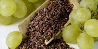 葡萄籽能吃嗎 正確吃法營養翻倍