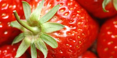 孕婦能吃草莓嗎 孕婦吃草莓好不好