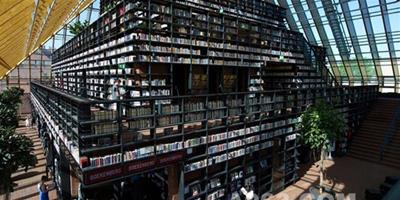 冒險旅程 書山圖書館Book Mountain Library