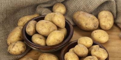預防土豆變毒豆 冰箱也比不上的保鮮竅門