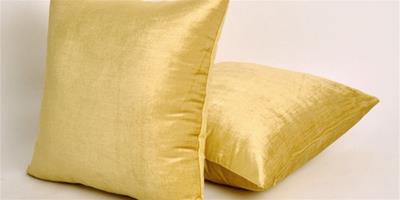 黃豆枕頭的做法 黃豆枕頭的功效