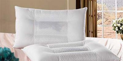 蠶沙枕頭多少錢 價格貴嗎