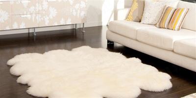 家用地毯怎麼清洗 清洗地毯方法