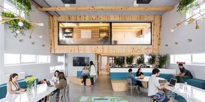 軟體公司辦公室裝修案例 原木綠植打造清新商務空間