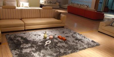 家庭地毯清洗步驟 還你一個整潔的地毯