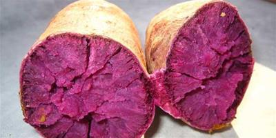 生活小常識：紫薯是轉基因食品嗎 為什麼紫薯是紫色的