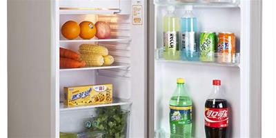 賽億冰箱怎麼樣 黃曉明探秘：賽億冰箱產品品質及價格