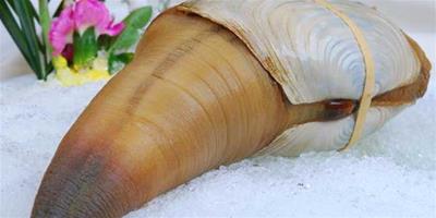 生活小常識：象拔蚌的營養價值 象拔蚌的食用禁忌