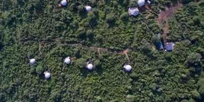 坦尚尼亞“蘑菇雲”樹屋 待一輩子都不會膩的小屋