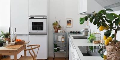 廚房完美收納設計 有效的設計改造
