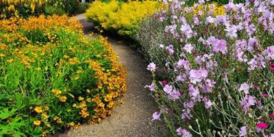 浪漫七夕：夢幻絕美花園 讓庭院繽紛無限