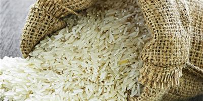 生活小常識：大米發黴怎麼辦 發黴的大米還能吃嗎