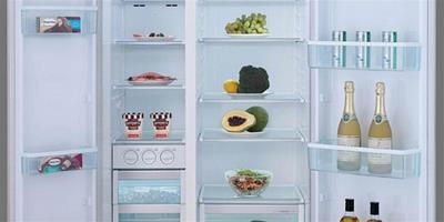 健康生活注意 依賴冰箱易致冰箱胃腸炎