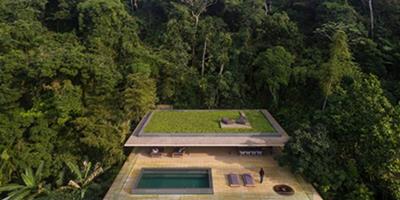 熱帶雨林中的混凝土住宅 自然和建築之間的有趣互動