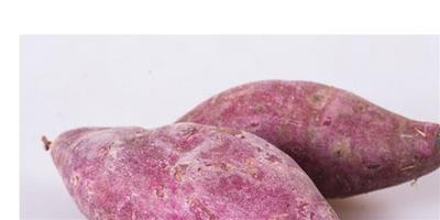 紫薯怎麼吃最有營養 紫薯的營養價值介紹
