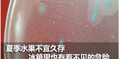 夏季水果不宜久放 冰箱不當使用存健康風險