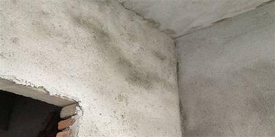素水泥漿是什麼 素水泥漿有什麼作用