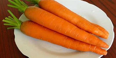 生活小常識：胡蘿蔔怎麼吃最有營養