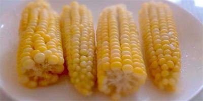 生活小常識：玉米的營養成分 玉米的營養價值