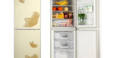 冰箱也是蔬菜影響健康的隱憂之一