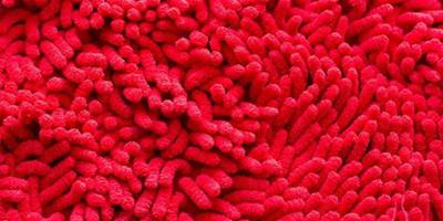 什麼是紅色地毯 紅地毯材質介紹