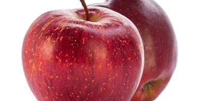 月經期可以吃蘋果嗎