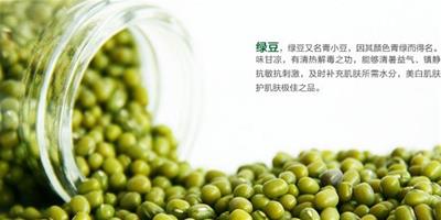 綠豆芹菜清熱去火可治口腔潰瘍