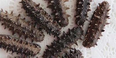 生活小常識：淡幹海參的發泡方法 淡幹海參的適宜人群