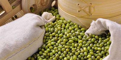生活小常識：綠豆的功效與作用 綠豆的營養價值