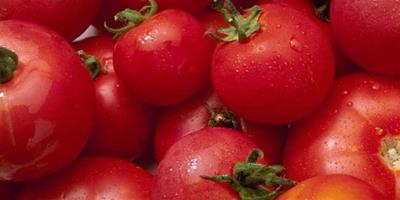 生活小常識：番茄如何祛斑？