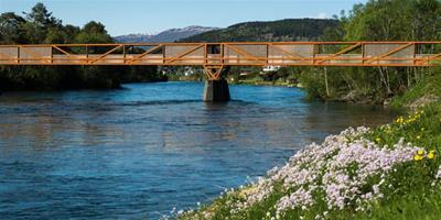 體驗大自然的美——Tintra步行橋