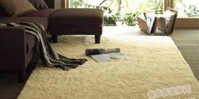 瞭解羊毛地毯清潔和保養方法 讓羊毛地毯永遠柔軟舒適