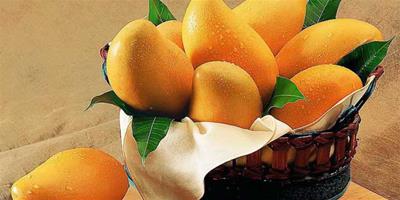 生活小常識：芒果的營養價值 芒果的藥用成份
