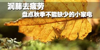 潤肺去疲勞 盤點秋季不能缺少的小家電